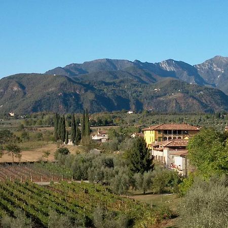 B&B Il Nido Raffa Εξωτερικό φωτογραφία